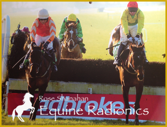 Rose Shanahan - Equine Radionics