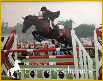 Rose Shanahan - Equine Radionics