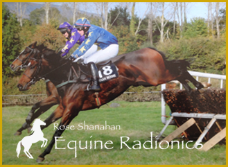 Rose Shanahan - Equine Radionics