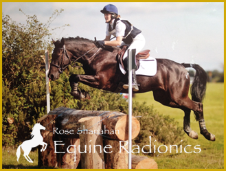 Rose Shanahan - Equine Radionics