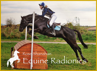 Rose Shanahan - Equine Radionics