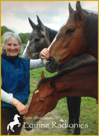 Rose Shanahan - Equine Radionics